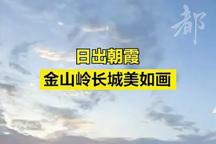 麦卡利斯特：每天都会看世界杯奖牌，这是足球运动员最重要的比赛